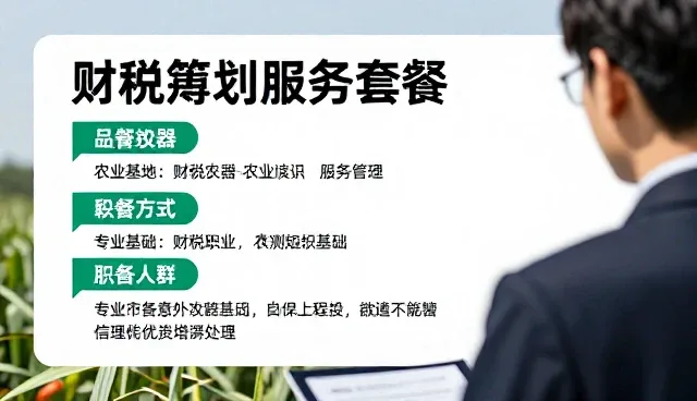 企业财税筹划服务选型的关键考量要素